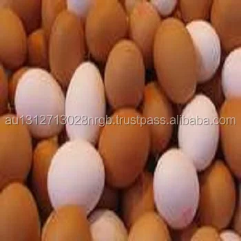 Farm Fresh Chicken Table Eggs Brown and White Shell Chicken Eggs