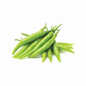 green chilli supplier