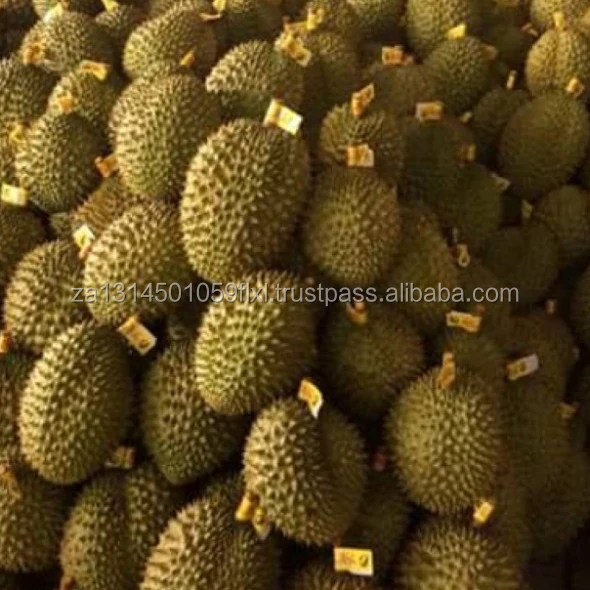 freeze durian fruit