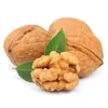 Walnut Kernels, Turkish Walnuts Exporter