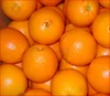 /product-detail/fresh-navel-valencia-oranges-50040113759.html