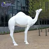 outdoor decoration camel resin craft fiberglass australian animal life size NT-FS215D