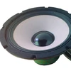 Speaker 10 Inch 250 - 43 J Thunder
