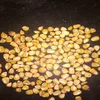 /product-detail/yellow-best-quality-animal-feed-maize-corn-from-india-corn-for-animal-feed-50038278290.html