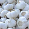 /product-detail/certified-healthy-garlic-fresh-snow-white-garlics-price-with-high-quality-best-price-50038230269.html
