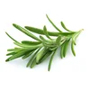 /product-detail/rosemary-essential-oil-8000-25-7-rosemary-50038439538.html