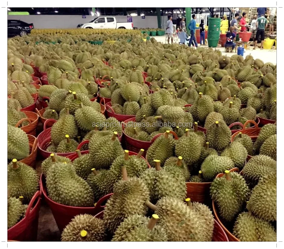Fresh Durian-re.jpg
