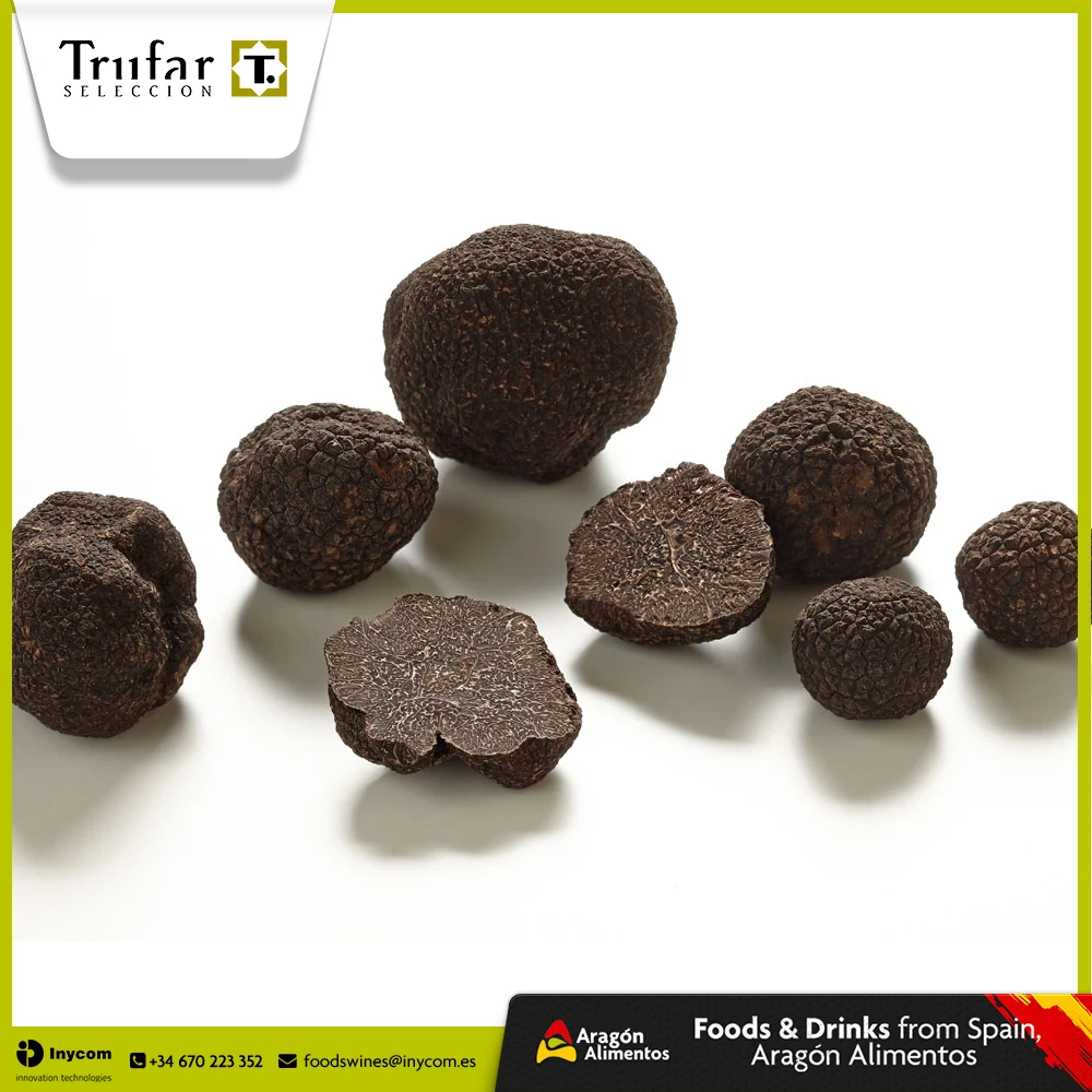 Frozen Black Truffles, Tuber Melanosporum from Spain | TRUFAR Seleccion
