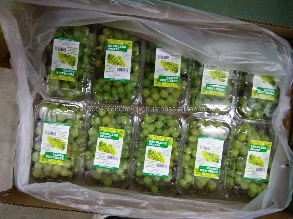 green grape 1.jpg