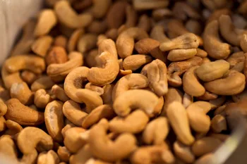 raw cashew nuts,processed cashew nuts