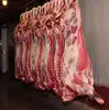 /product-detail/cheap-fresh-goat-meat-halal-goat-meat-frozen-goat-meat-grade-aa-cheap-price-62001315566.html