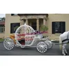 /product-detail/beauty-queen-wedding-cinderella-buggy-pumpkin-style-wedding-cinderella-horse-carriage-lovely-cinderella-horse-drawn-carriage-50038099648.html
