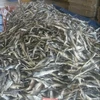 /product-detail/great-discount-basa-fish-skin-with-best-price-from-viet-nam-contact-me-0084-1642-951-494-50041730949.html