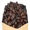 /product-detail/premium-grade-arabica-luwak-coffee-civet-coffee-from-indonesian-62001810046.html