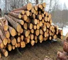 Pine Round Wood Logs Wholesale, best supplier
