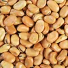Wholesale Quality Split Broad Beans / Faba Beans / Fava Beans for Sale