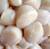 /product-detail/best-sea-japanese-scallops-50040689538.html