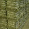 /product-detail/top-alfalfa-hay-bales-for-sale-50046255673.html