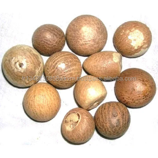 dried betel/ areca nut - whole/ split/ slice