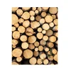 /product-detail/kwila-merbau-timber-logs-and-wood-from-malaysia-62006399153.html