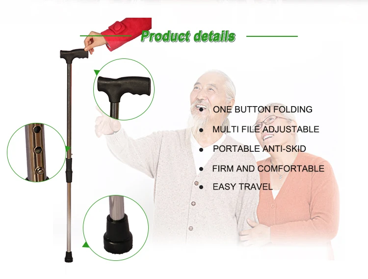 walking stick 2.jpg