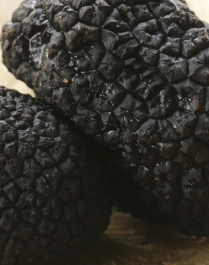 Truffles For Export