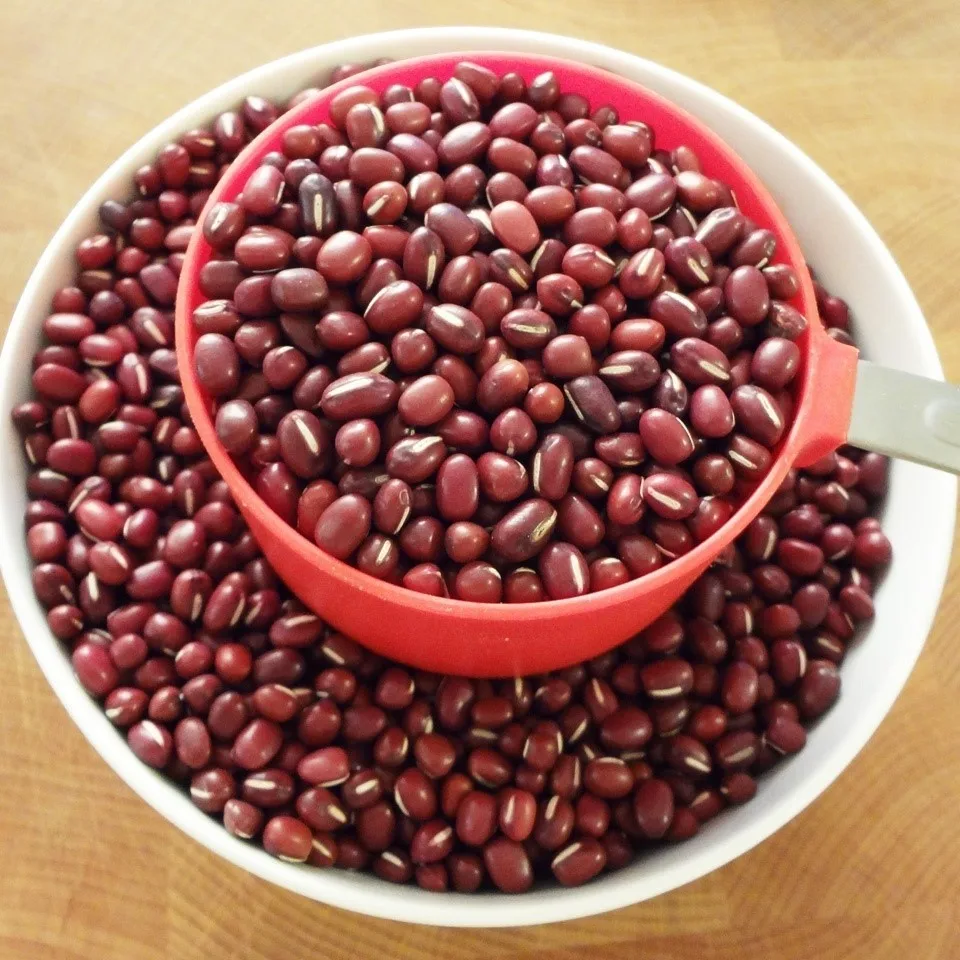 Spotted and Red Kidney beans