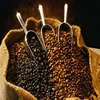 /product-detail/coffee-customizable-arabica-mexican-coffee-50043775863.html