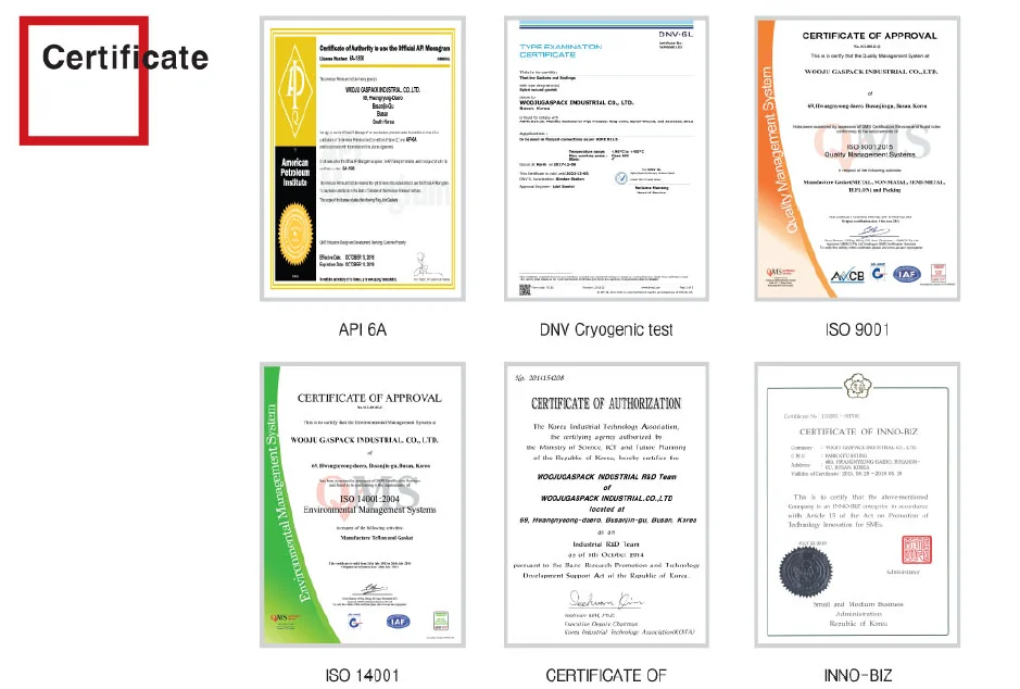 graphite sheet & gasket