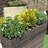 RAPL-006A Top selling Newest Design Poly PE Rattan Outdoor Garden Decor Planter - Pottery