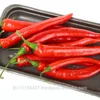 Best Quality Fresh/Dried Chili/Red Pepper For Sale