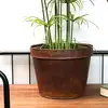 Rusted Iron Flower Planters With Stand For Home & Garden Decor