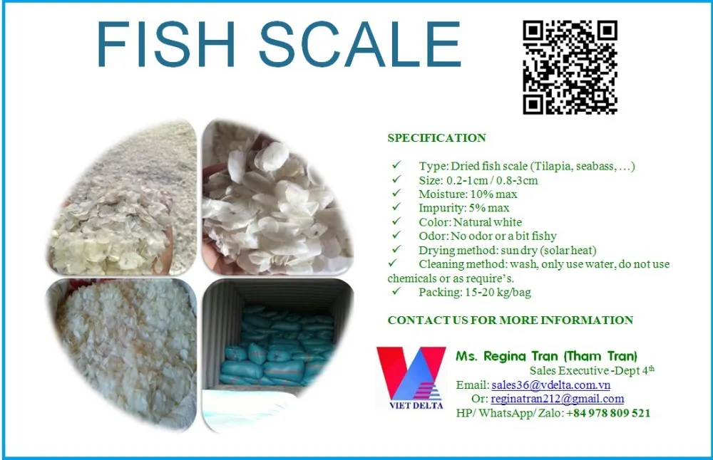 tilapia fish scale _ fish scale _ high quality_ vietnam (ms.