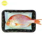 Absorbent Food Pad for Meat Fish Fruit Transportation