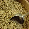 /product-detail/ethiopian-arabica-coffee-beans-green-beans-coffee-50039548970.html