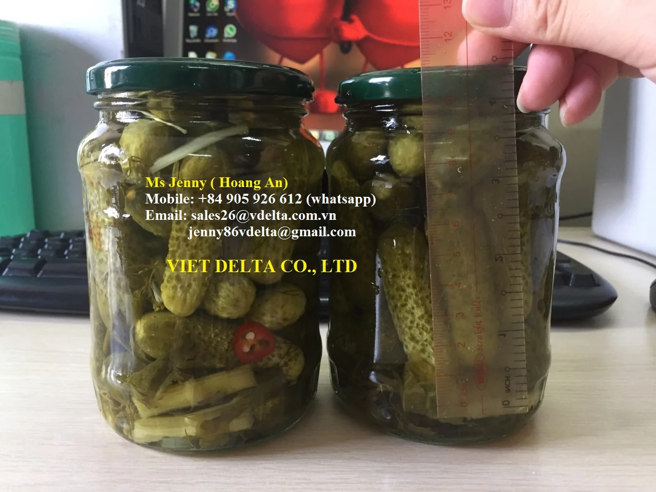 manufacturer of canned cucumber/ pickled gherkin in drums or