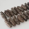 /product-detail/hot-selling-competitive-price-fresh-frozen-seafood-wild-dried-sea-cucumber-62000494577.html