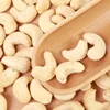 /product-detail/all-grades-of-cashew-nuts-w320-w240-w450-ready-stock-62002707497.html