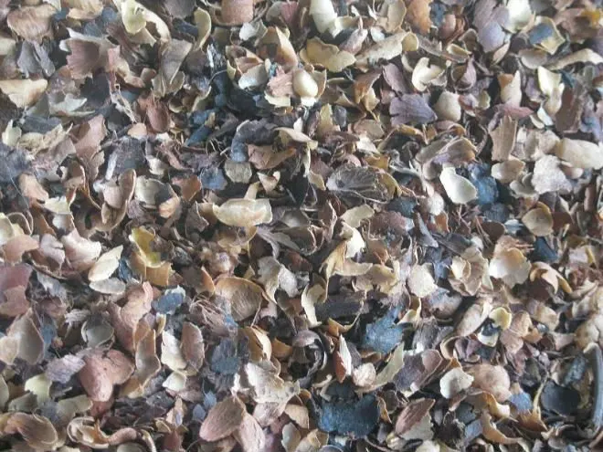 WASTE COFFEE BEAN SHELL /COFFEE BEAN HUSK FOR BI FUEL,/COFFEE BEAN WASTED SOPHIA WHATSAPP +84987364651
