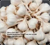 /product-detail/ly-son-fresh-garlic-at-best-price-in-new-crop-2018-50038802919.html