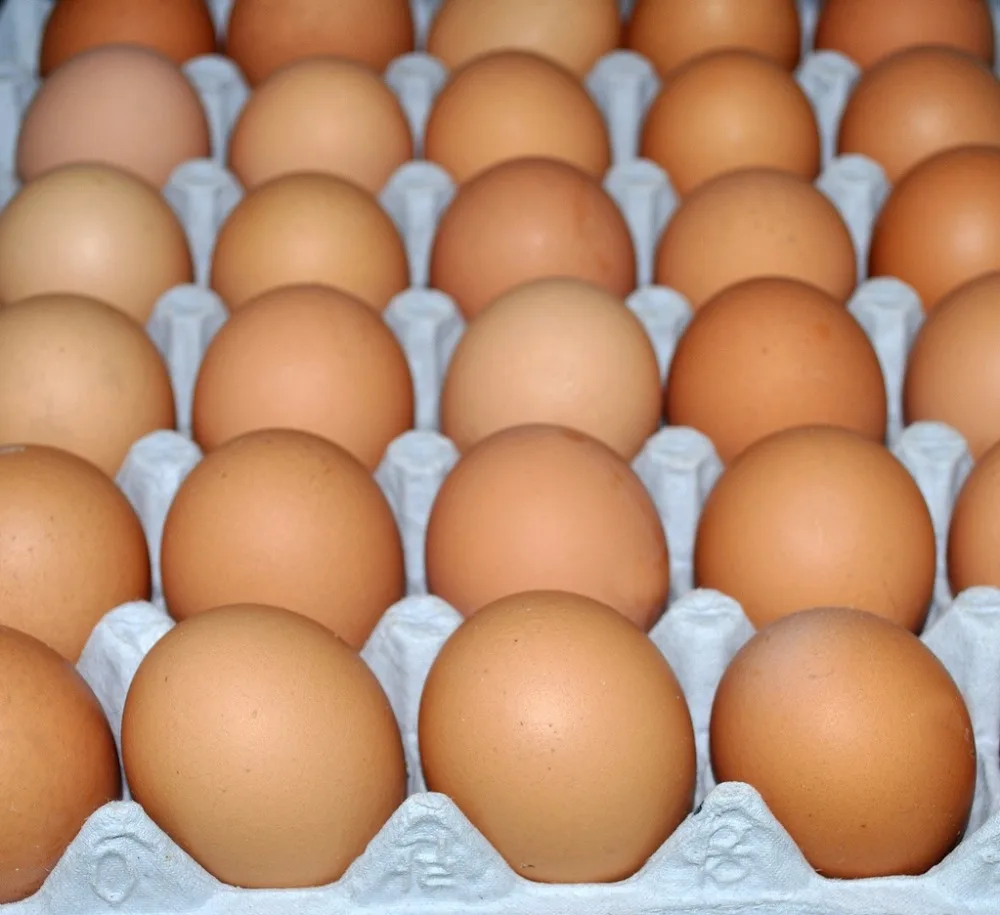 Farm Fresh Chicken Eggs, Table Eggs, Poultry Eggs