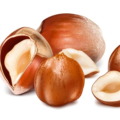 hazelnuts, blanched hazelnuts, hazelnuts inshell/blanched hazel