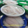 PANGASIUS FILLET FOR EVERY MARKET