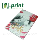 Custom softcover manga adult comic book printing