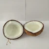 FRESH HUSKED BROWN COCONUT