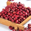 /product-detail/natural-fresh-red-bamboo-beans-62006643432.html