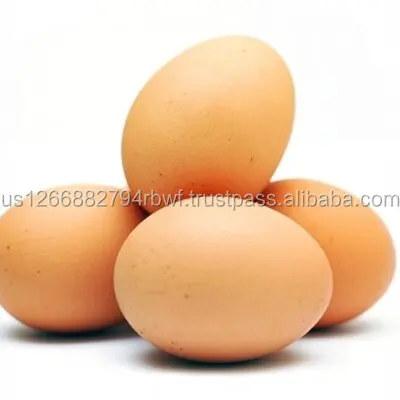 Quality Farm Fresh Chicken eggs