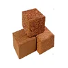 Cocopeat exporters for Hungary