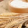 /product-detail/food-grade-wheat-starch-and-wheat-flour-50036990360.html