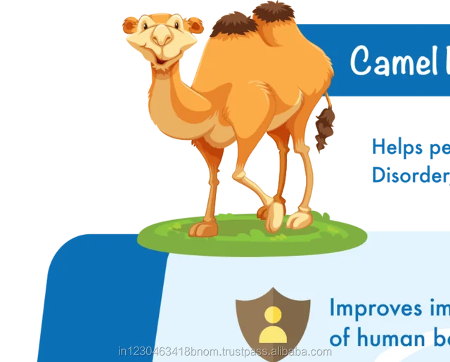 camel milk for low fat & low cholesterol of the body 500g